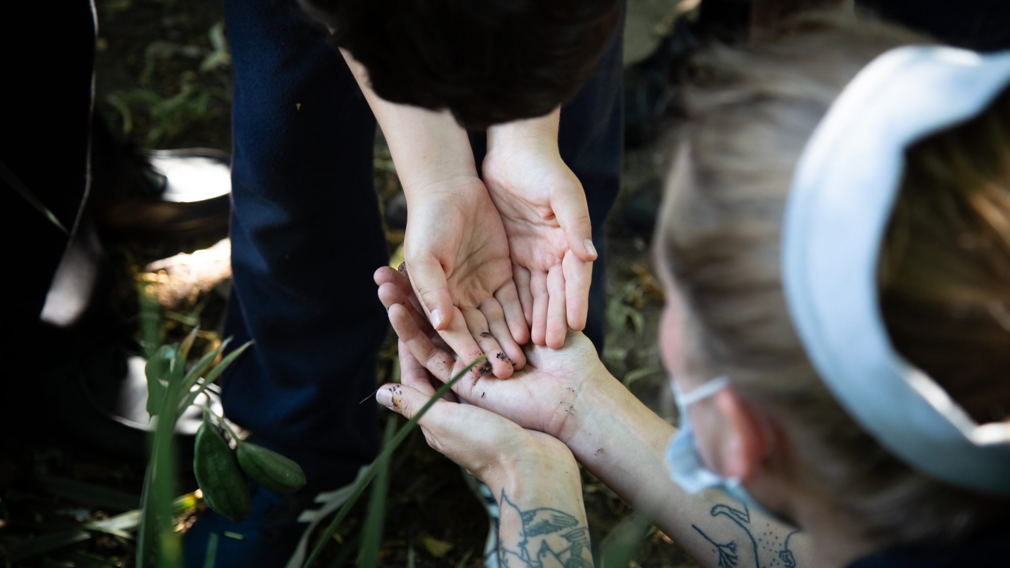 A child's hands opening into an adults hands at a nature club