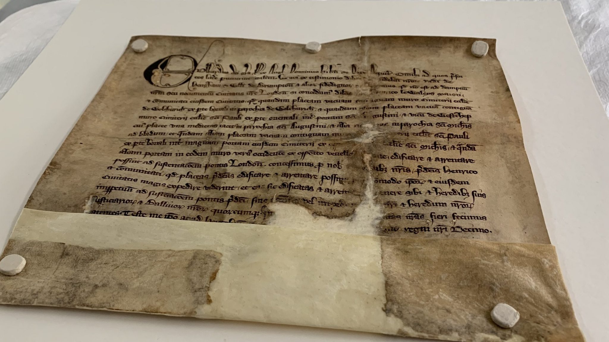 The 1282 Royal Charter - City Bridge Foundation's founding document
